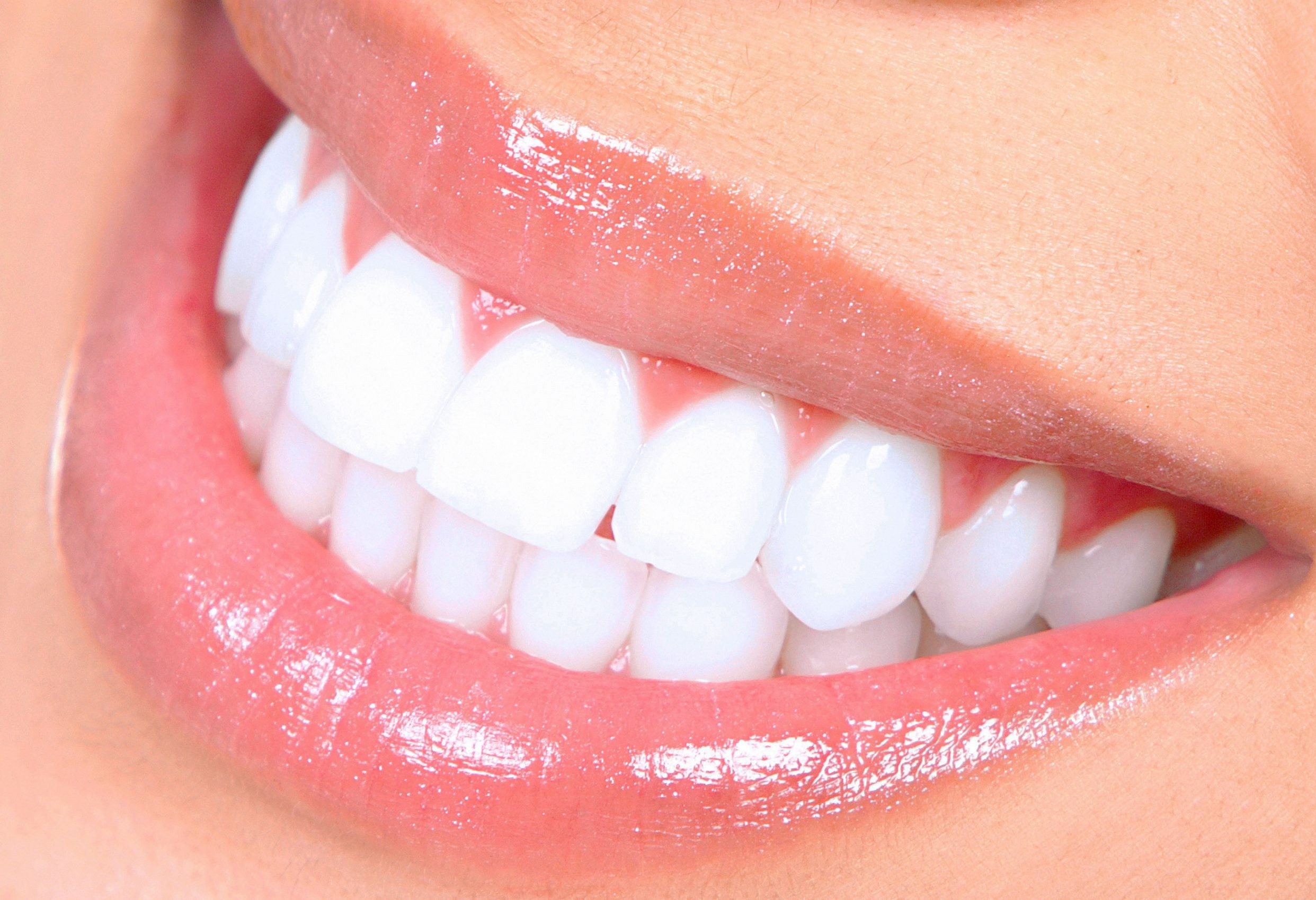 teeth teeth